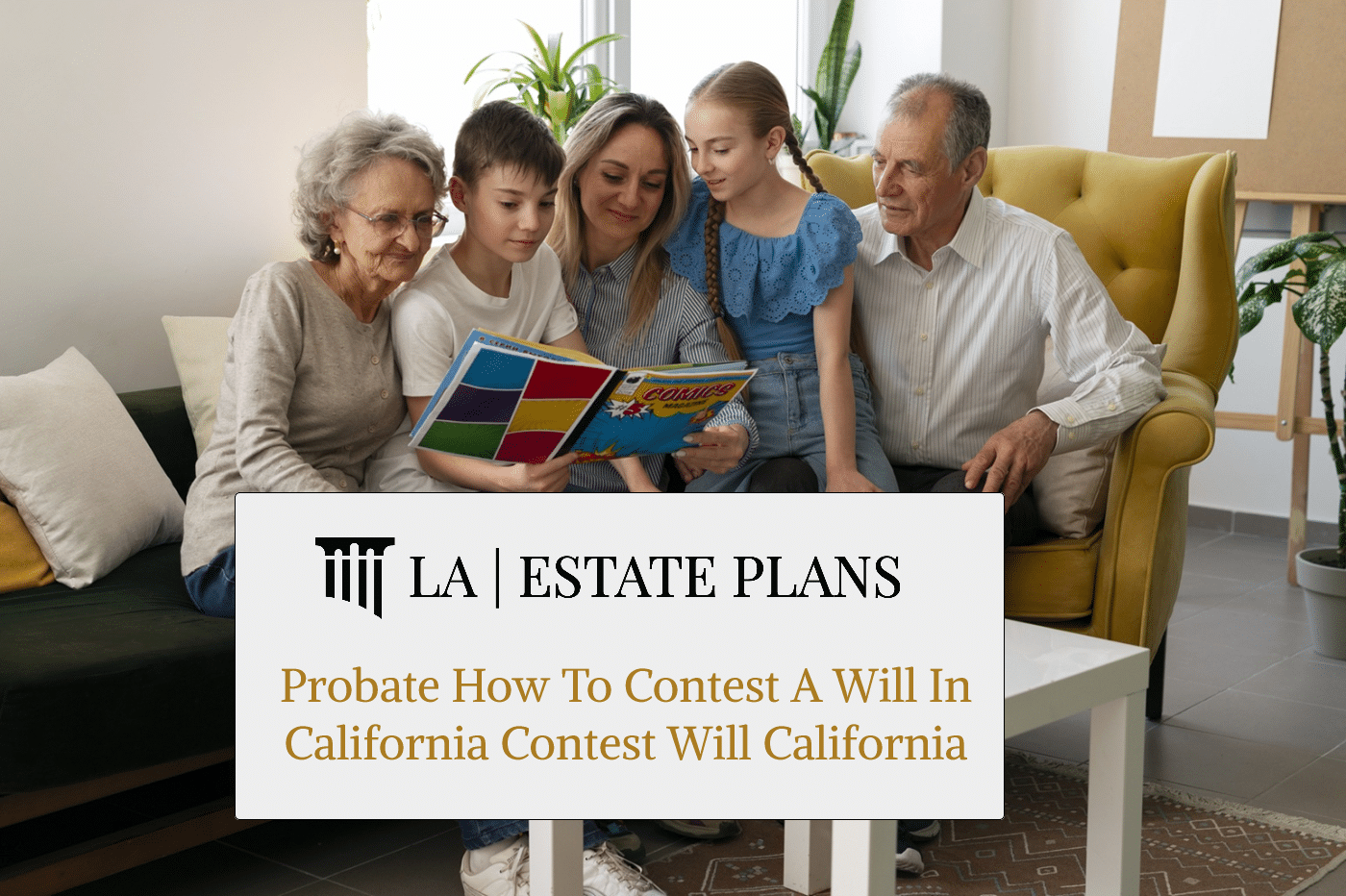 Probate How To Contest A Will In California Contest Will California